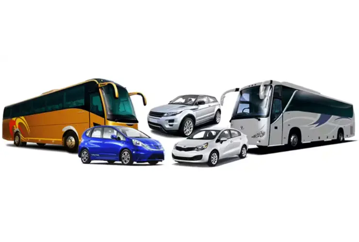 cars and buses.